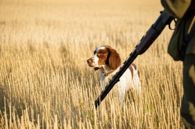 Illustration setting - Image 1