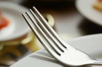 Illustration tine - Image 1