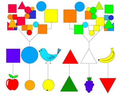 Illustration tally - Image 1