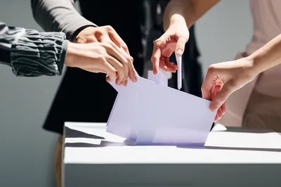 Illustration ballots - Image 1