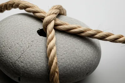 Illustration fret - Image 1