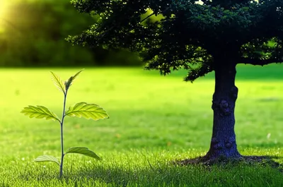 Illustration emulates - Image 1