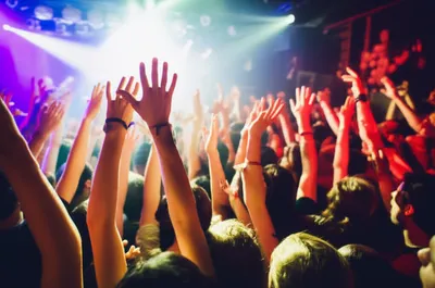 Illustration jointed - Image 1