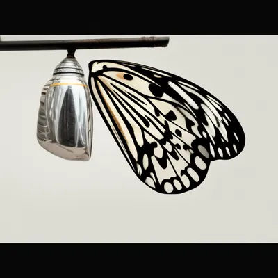 Illustration take - Image 1