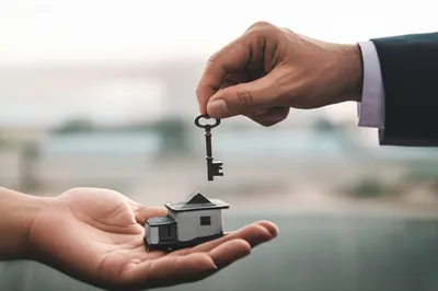 Illustration demise - Image 1