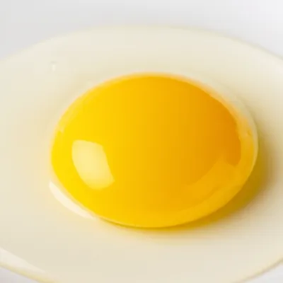 Illustration vitellus - Image 1