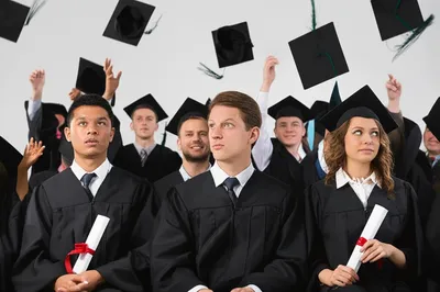 Illustration gulf - Image 1