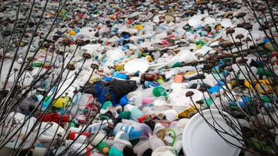 Illustration disposable - Image 1