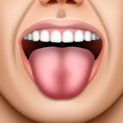 Illustration front - Image 1