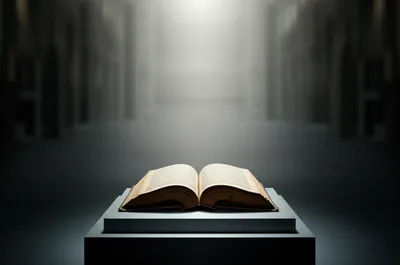 Illustration high - Image 1