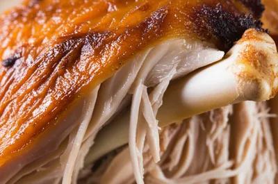 Illustration turkey - Image 1