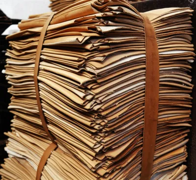 Illustration kips - Image 1