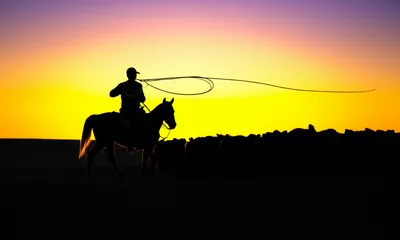 Illustration steer - Image 1