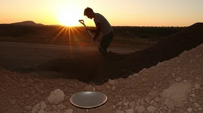 Illustration coyote - Image 1