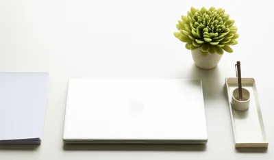 Illustration tidy - Image 1