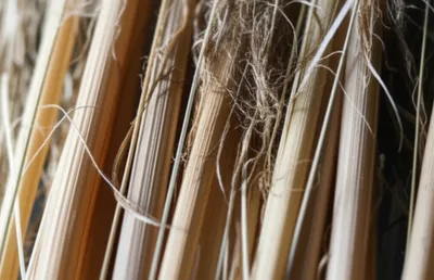 Illustration oakum - Image 1