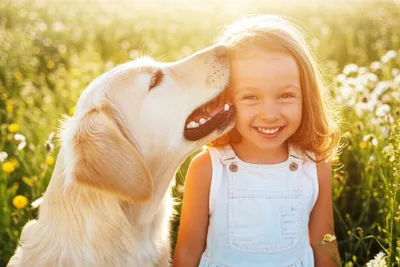 Illustration fonder - Image 1