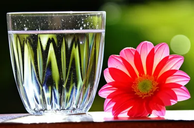 Illustration sober - Image 1