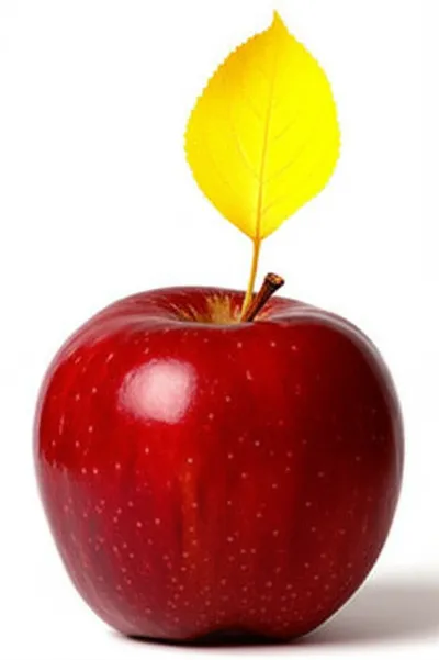 Illustration quirk - Image 1