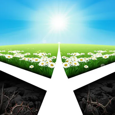 Illustration but - Image 1