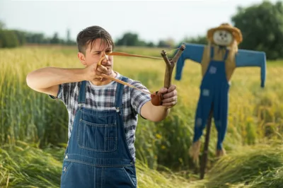 Illustration mint - Image 1