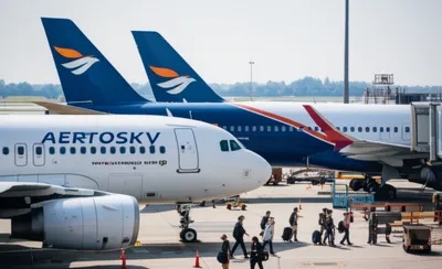 Illustration codesharing - Image 1