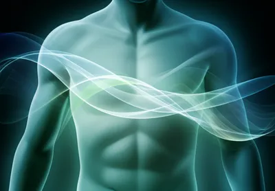 Illustration undulation - Image 1