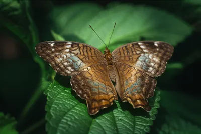 Illustration maps - Image 1