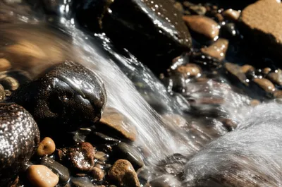 Illustration purify - Image 1