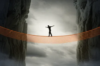 Illustration hedging - Image 1