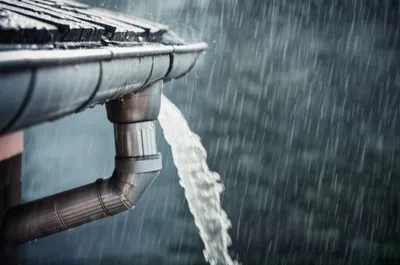 Illustration launder - Image 1