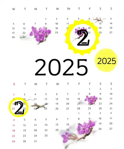 Illustration biennials - Image 1