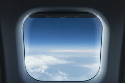 Illustration greenhouse - Image 1