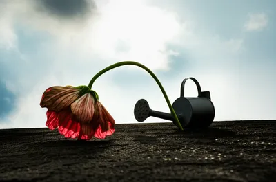 Illustration relenting - Image 1