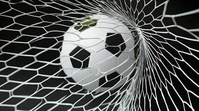 Illustration netted - Image 1