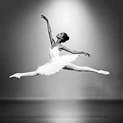 Illustration graceful