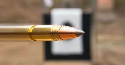 Illustration rifles - Image 1