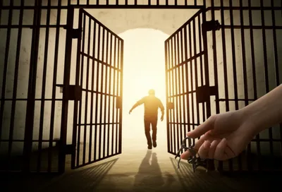 Illustration bails - Image 1