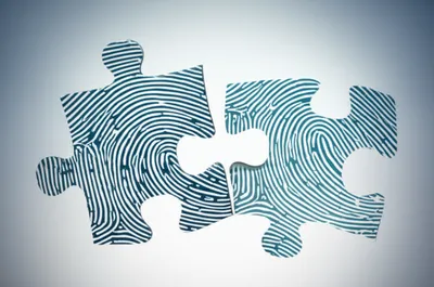 Illustration identifications