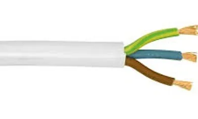 Illustration flex - Image 3