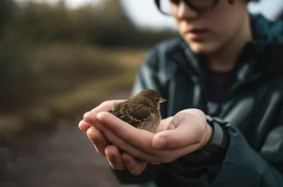 Illustration rues - Image 1