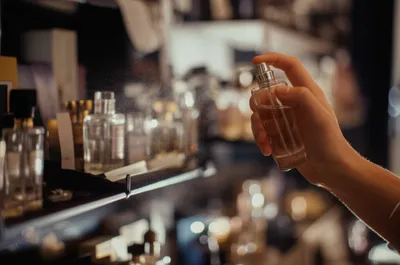 Illustration tester - Image 1