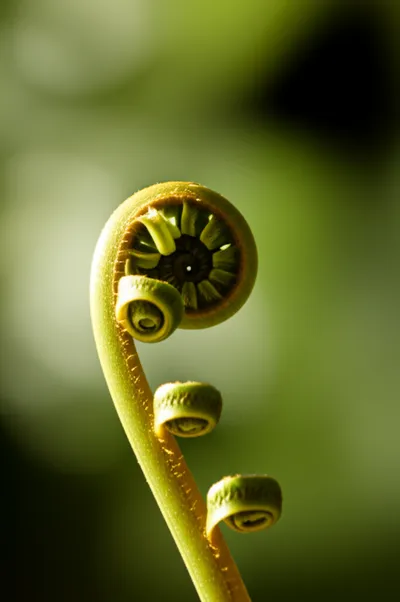 Illustration uncurl - Image 2