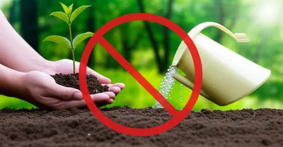 Illustration insured - Image 1