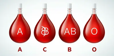 Illustration types - Image 1