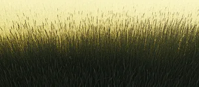 Illustration downfield - Image 1