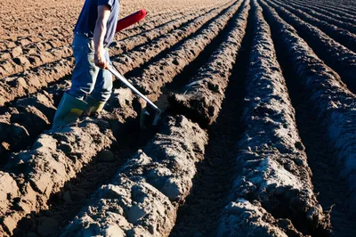 Illustration tills - Image 1