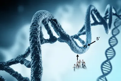 Illustration upstream - Image 1