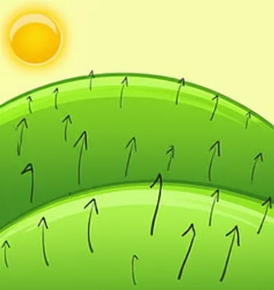 Illustration gradients - Image 1