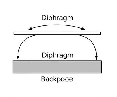 Illustration backplate - Image 1